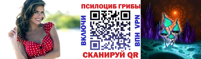 Псилоцибиновые грибы Magic Shrooms  Куйбышев 