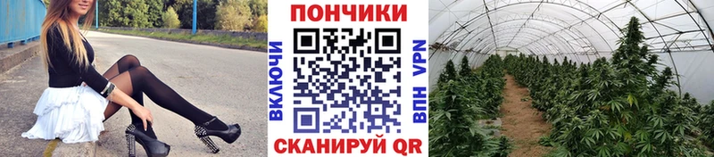 Каннабис марихуана  купить наркотики цена  Куйбышев 